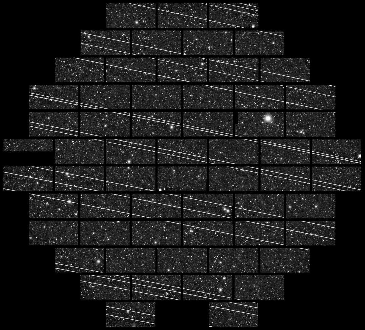 A telescope at Cerro Tololo Inter-American Observatory in Chile spotted 19 Starlink satellites soon after they launched in November 2019.