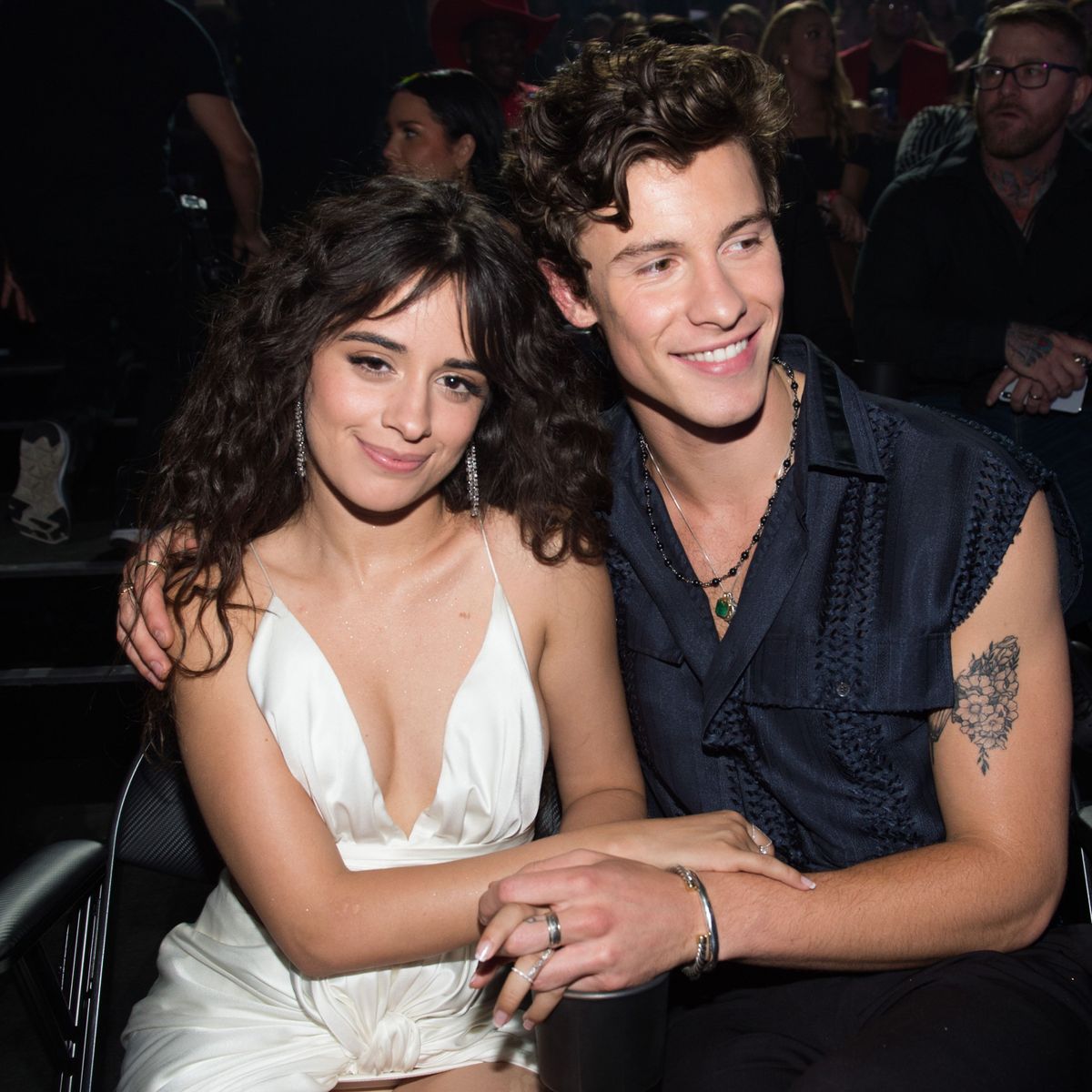 Camila Cabello and Shawn Mendes Responded to Those Breakup Rumors ...