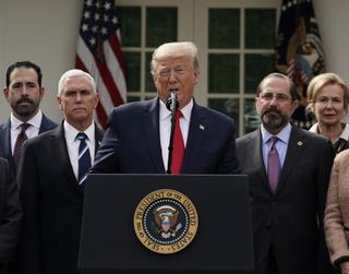 President Donald Trump declared a 'national emergency' over COVID-19 at a news conference in the White House Rose garden on March 13.