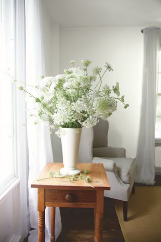 Best white paint in a living room with flowers on a table