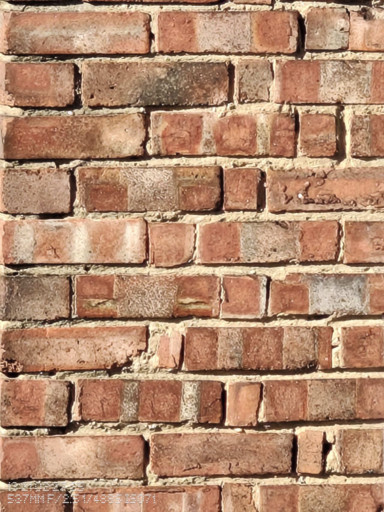 Close up of a brick wall