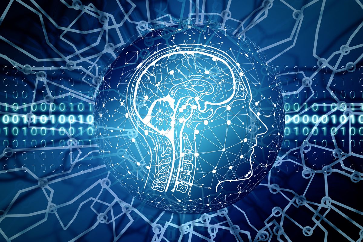 Beyond the Basics: Why Executive Function is the Secret Engine of Career Success