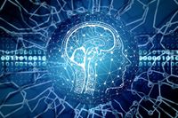 executive functioning