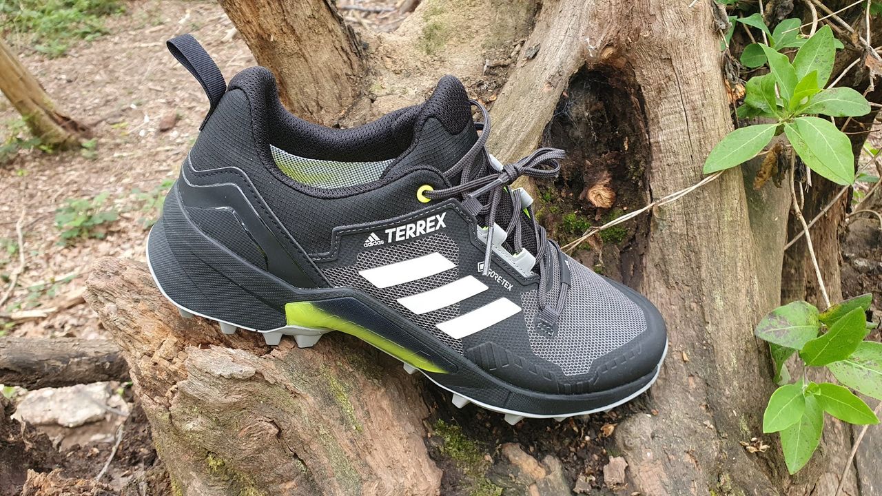 Adidas Terrex Swift R3 Gore-Tex Hiking Shoe