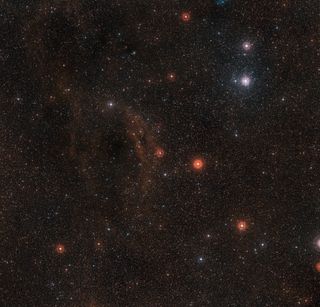 The red hypergiant star VY Canis Majoris (center, near dust cloud) is one of the largest known stars in the Milky Way. When spotted with a telescope in the night sky, it glows a vivid red.