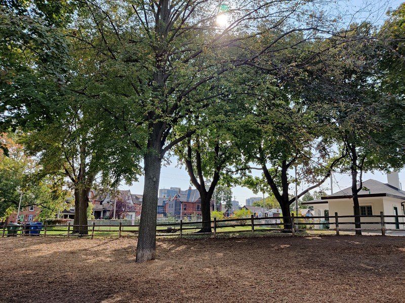 OnePlus 8T camera sample