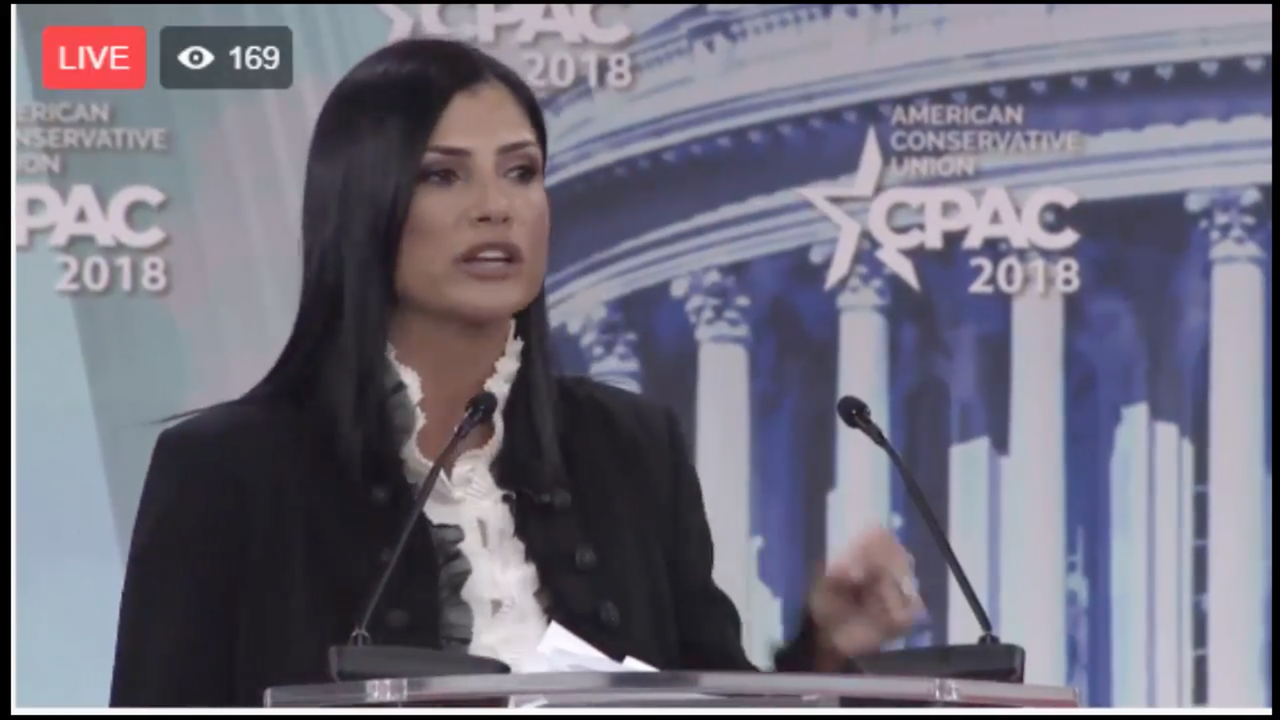 Dana Loesch. 