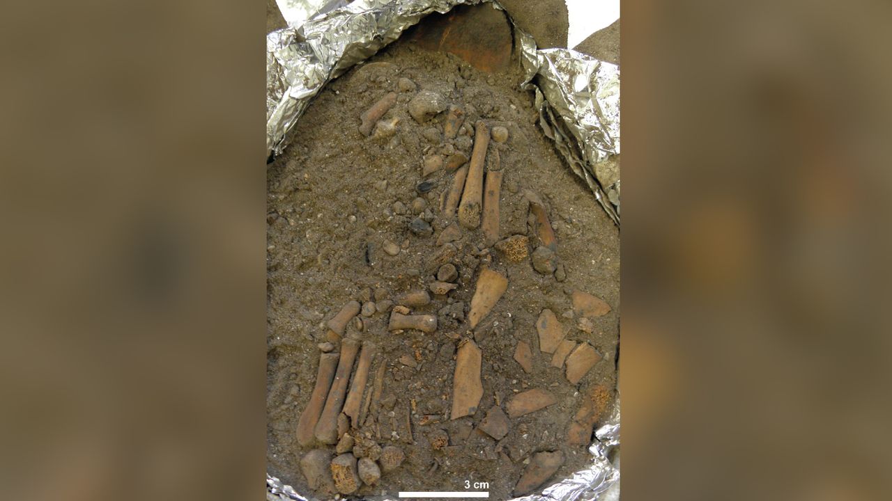 The child's left foot (bottom left) and right foot (center), which were fully excavated in a laboratory at Australian National University in Canberra.