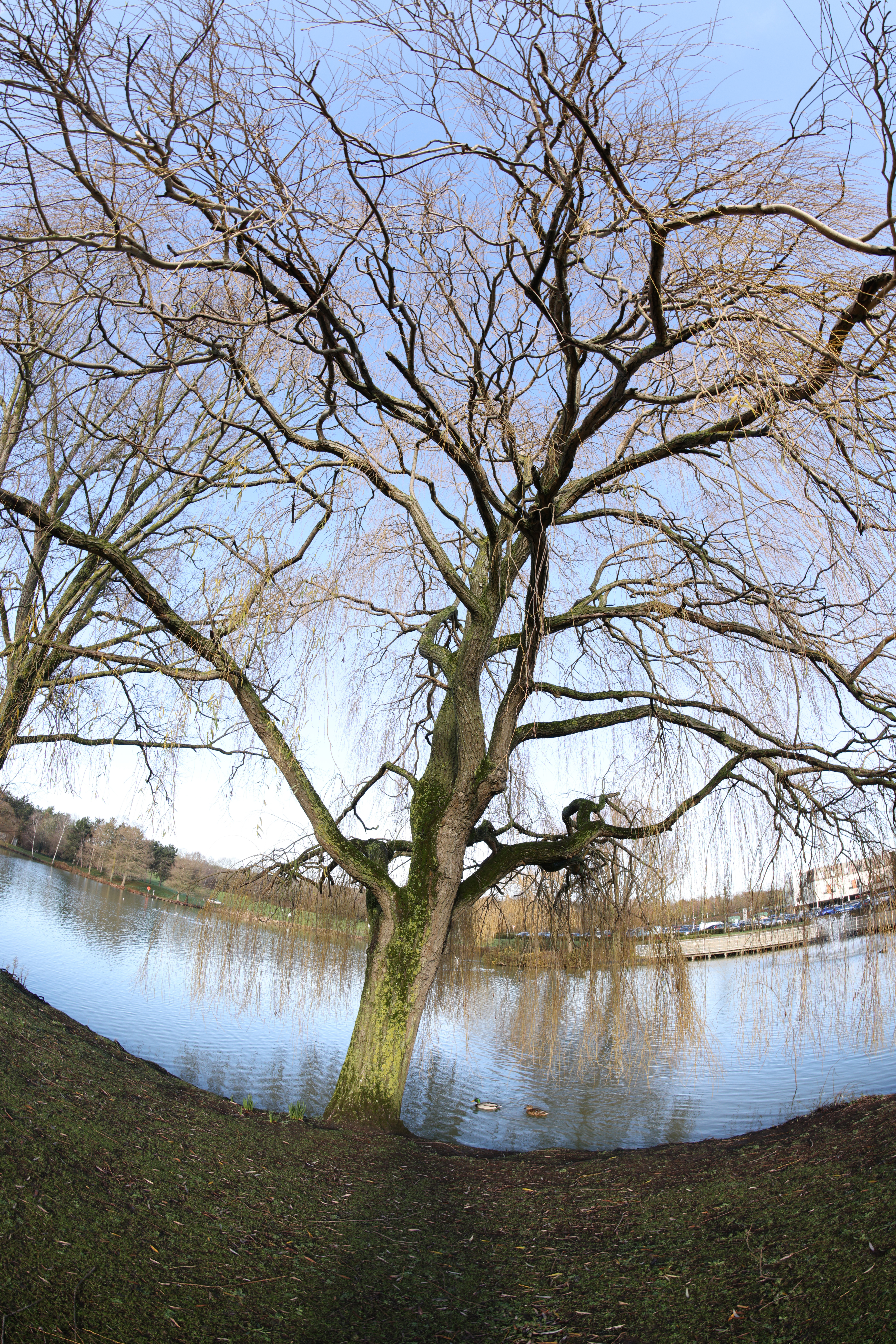 Sample image taken with the Canon RF 7-14mm f/2.8-3.5L Fisheye STM using a Canon EOS R5