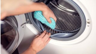 Washing machine seal being cleaned