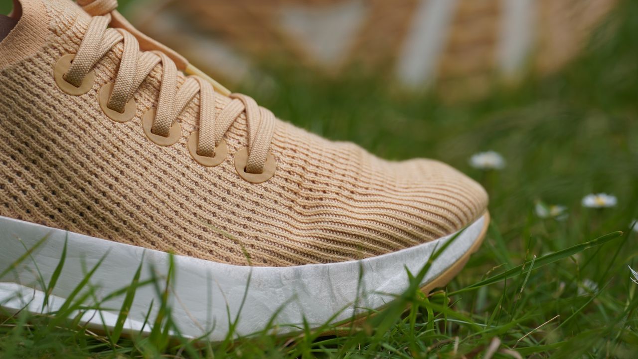 Allbirds Tree Flyers review