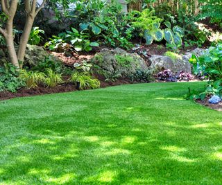 Lush lawn, How to maintain a tidy garden