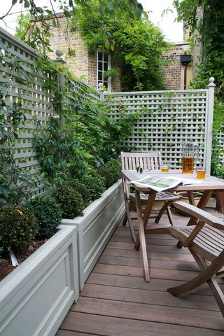 green trellis fence around seating with climbing plant