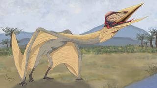 Dragon of death dinosaur scientific illustration