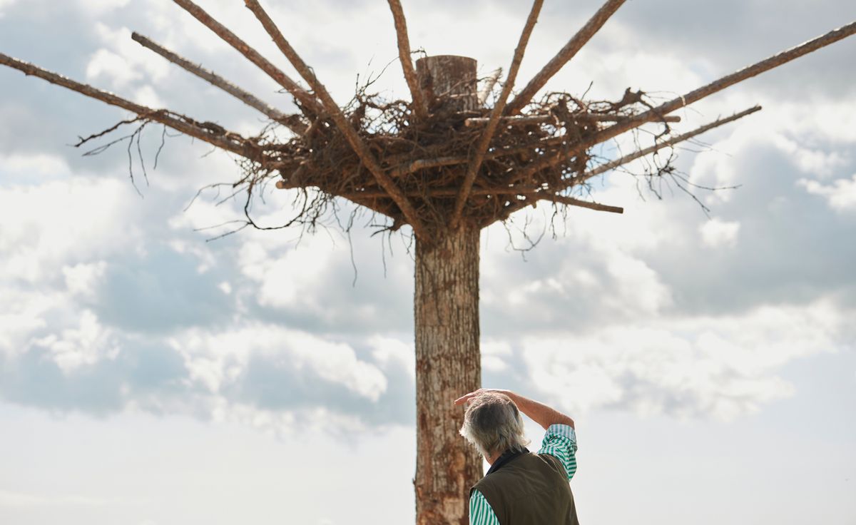 Nils-Udo and Ruinart's ode to biodiversity in rural Reims | Wallpaper