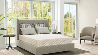 PlushBeds mattress in a cream, bright bedroom