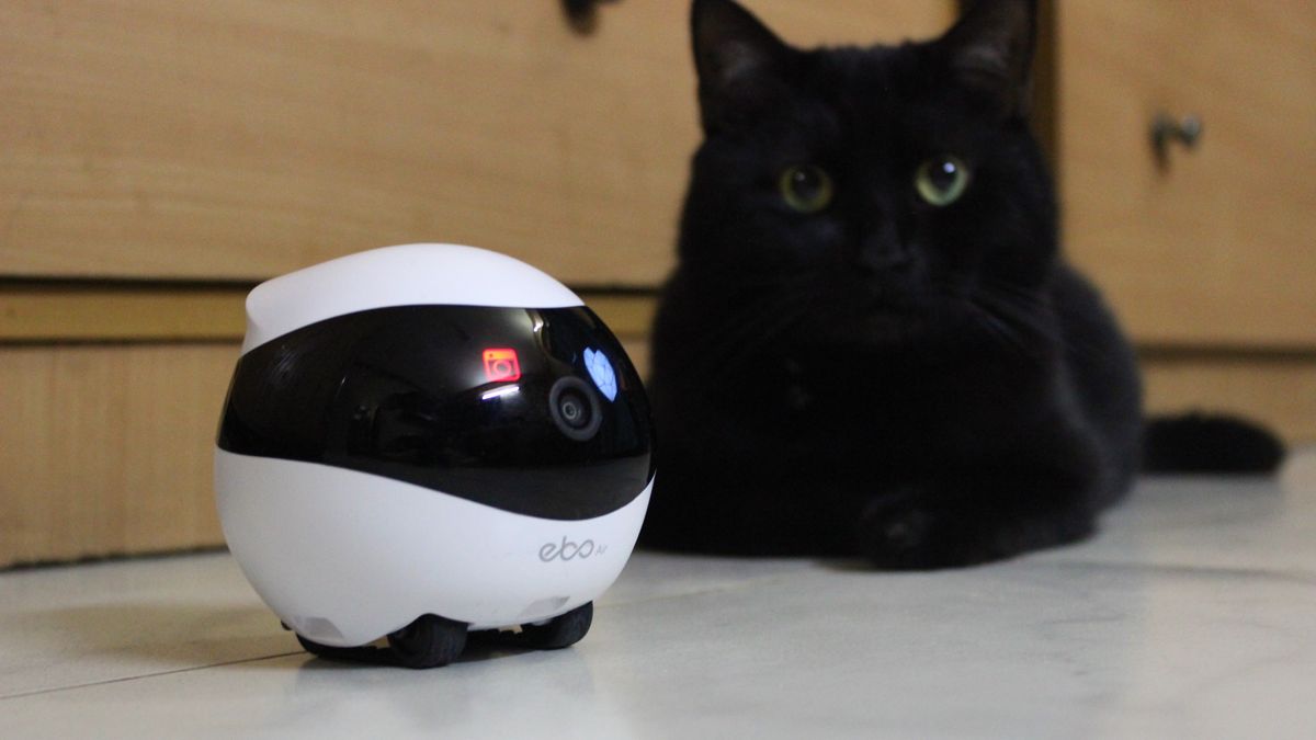 Best pet cameras 2024 Android Central