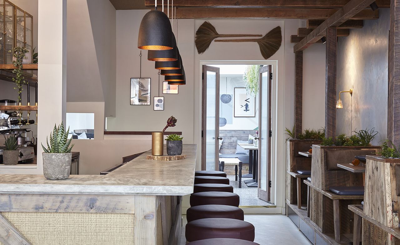 Potted plant on counter with sitting arrangement and lights at MAM