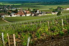 Clos des Lambrays
