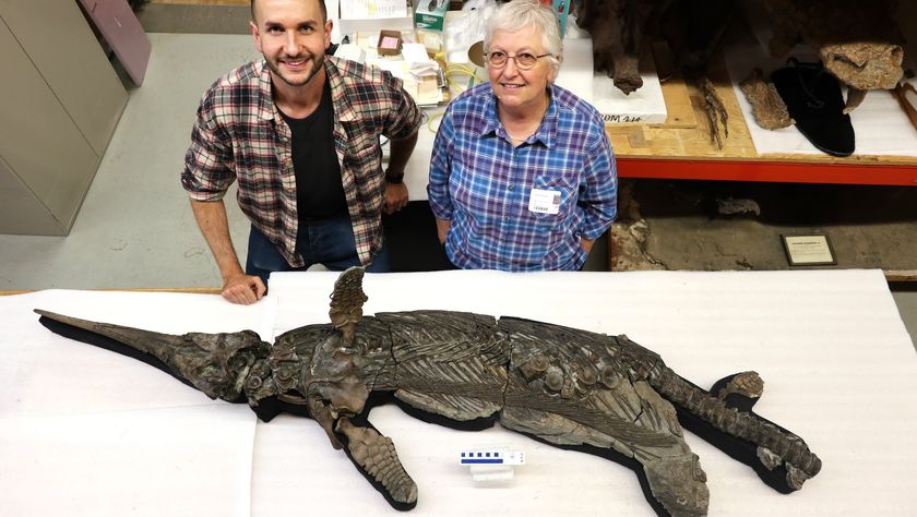 Two researchers pose next to a large fossil of a marine reptile with a pointed snout