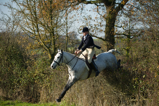 Avon Vale Hunt 29 11 2014