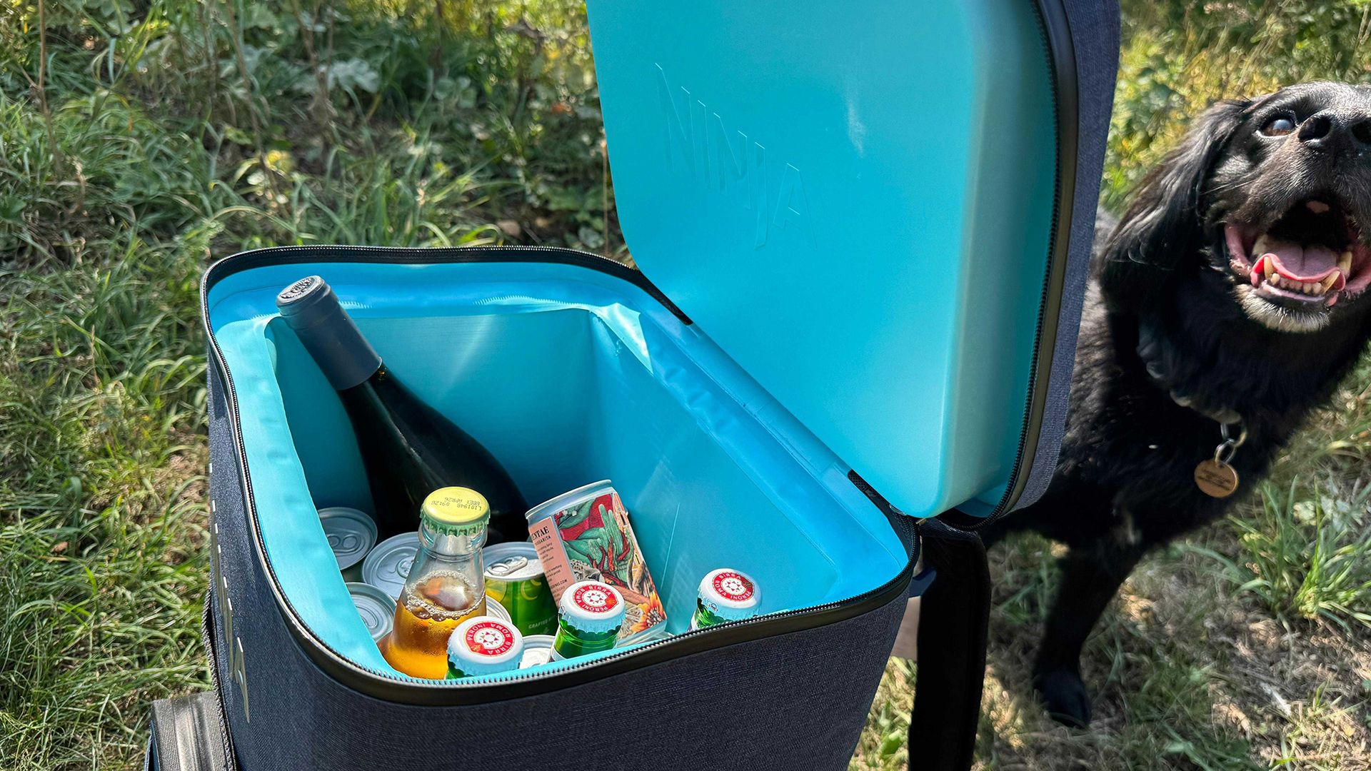 أفضل 11 مبردًا للحفاظ على برودة الأطعمة والمشروبات – أوصى بها محرر سابق في مجلة Outdoors