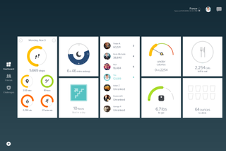 Fitbit for Windows 8.1