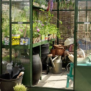 greenhouse with plants pots and gardening tools