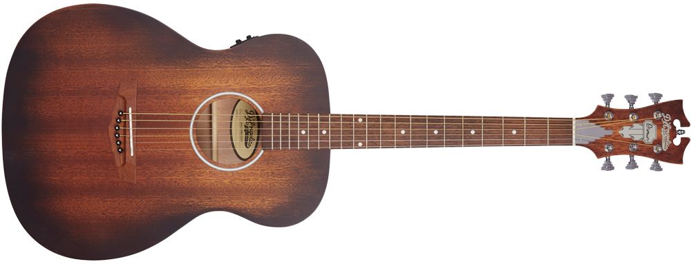 D'Angelico Premier Series LS acoustic