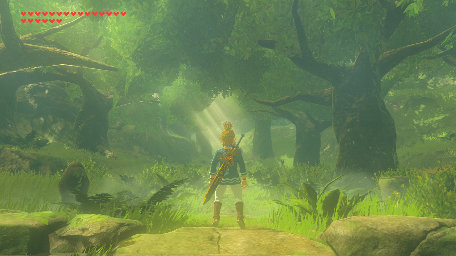 The Legend of Zelda: Breath of the Wild Nintendo Switch 2 Edition