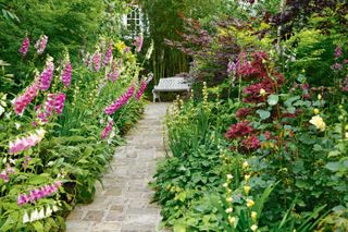 cottage garden path ideas: borders