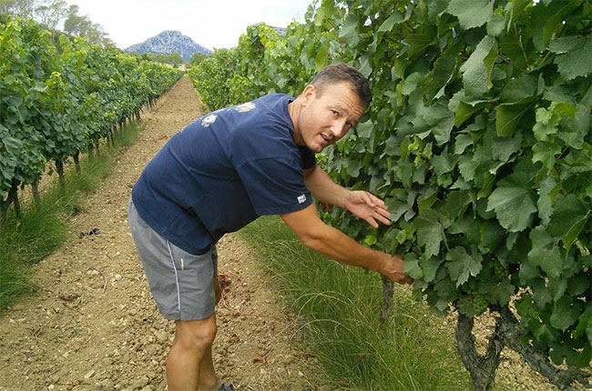Guilhem Viau in Bergerie du Capucin vineyards.