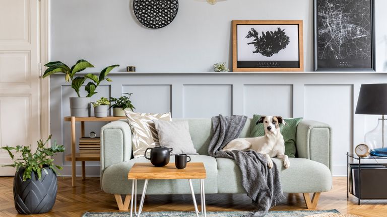 Modern living room with sofa, soft furnishings, prints, and a dog