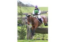 ex-racehorses