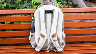 Rear of the Peak Design Everyday Backpack Zip