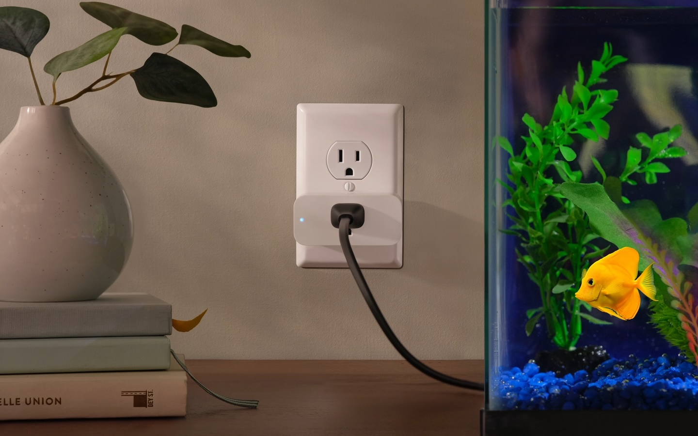 Amazon smart plug