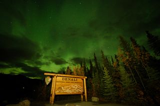 A green northern lights sky above a Denali sign inside Denali National Park and Preserve