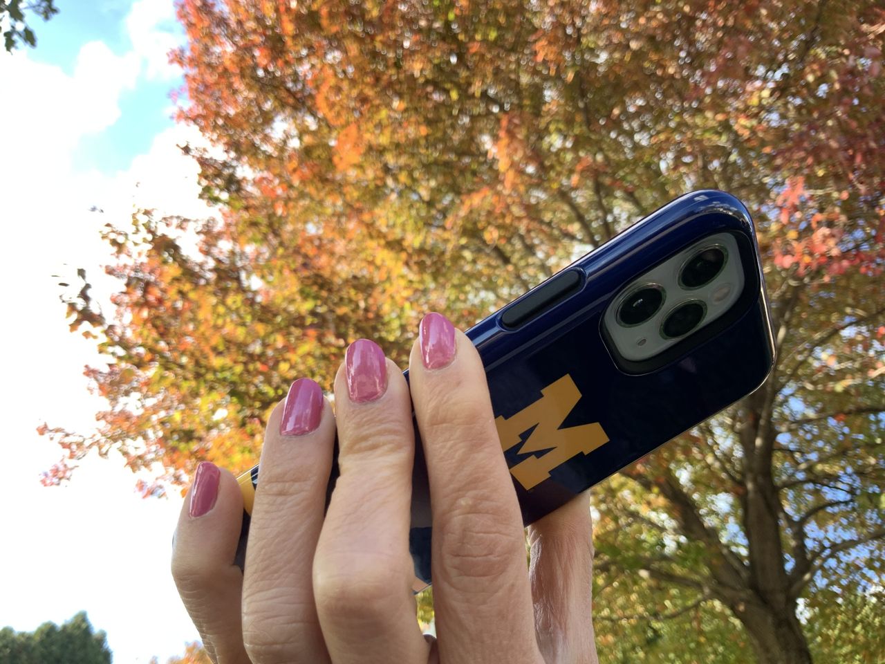 Skinit iPhone Pro Impact Case
