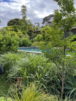 An above ground pool