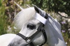 Unicorn horn