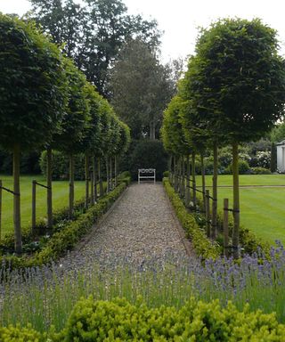The straight lines of this path, edged with a short avenue of trees, emphasises the formality of the design.