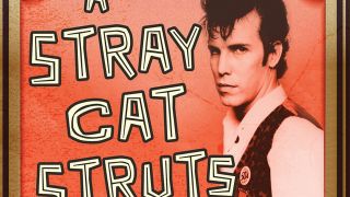 Jim Phantom A Stray Cat Struts book cover