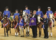 PonyClub_HOYS12KIT164.JPG