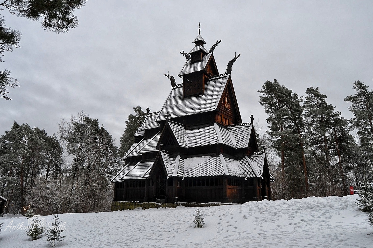 GuruShots - February 2026