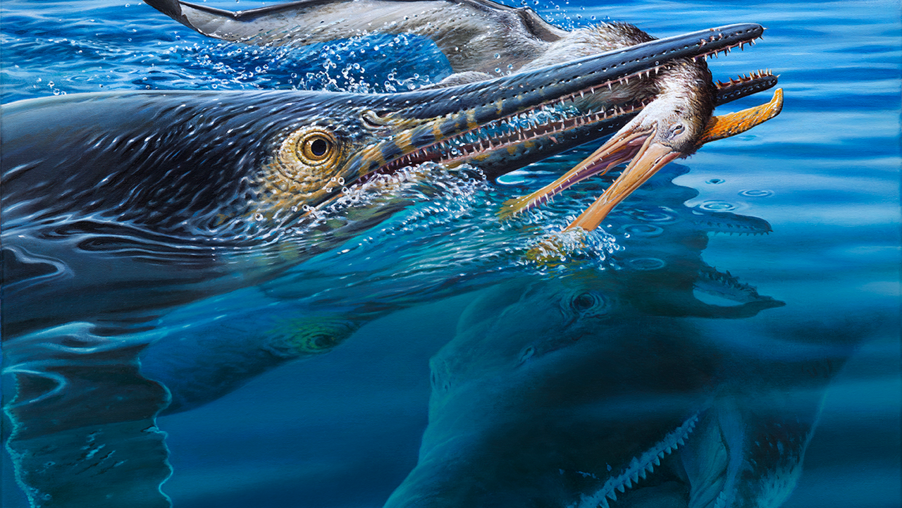 Stunning fossil from Australian outback reveals pliosaur killed a sea monster that had just eaten a pterosaur
