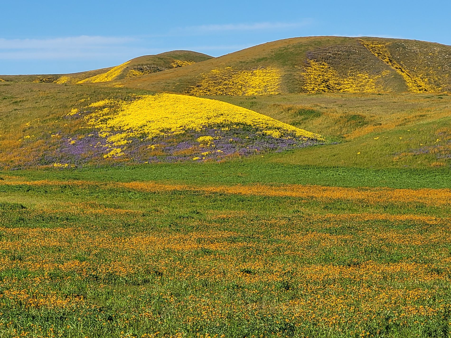 GuruShots - Vivid Landscapes March 2026