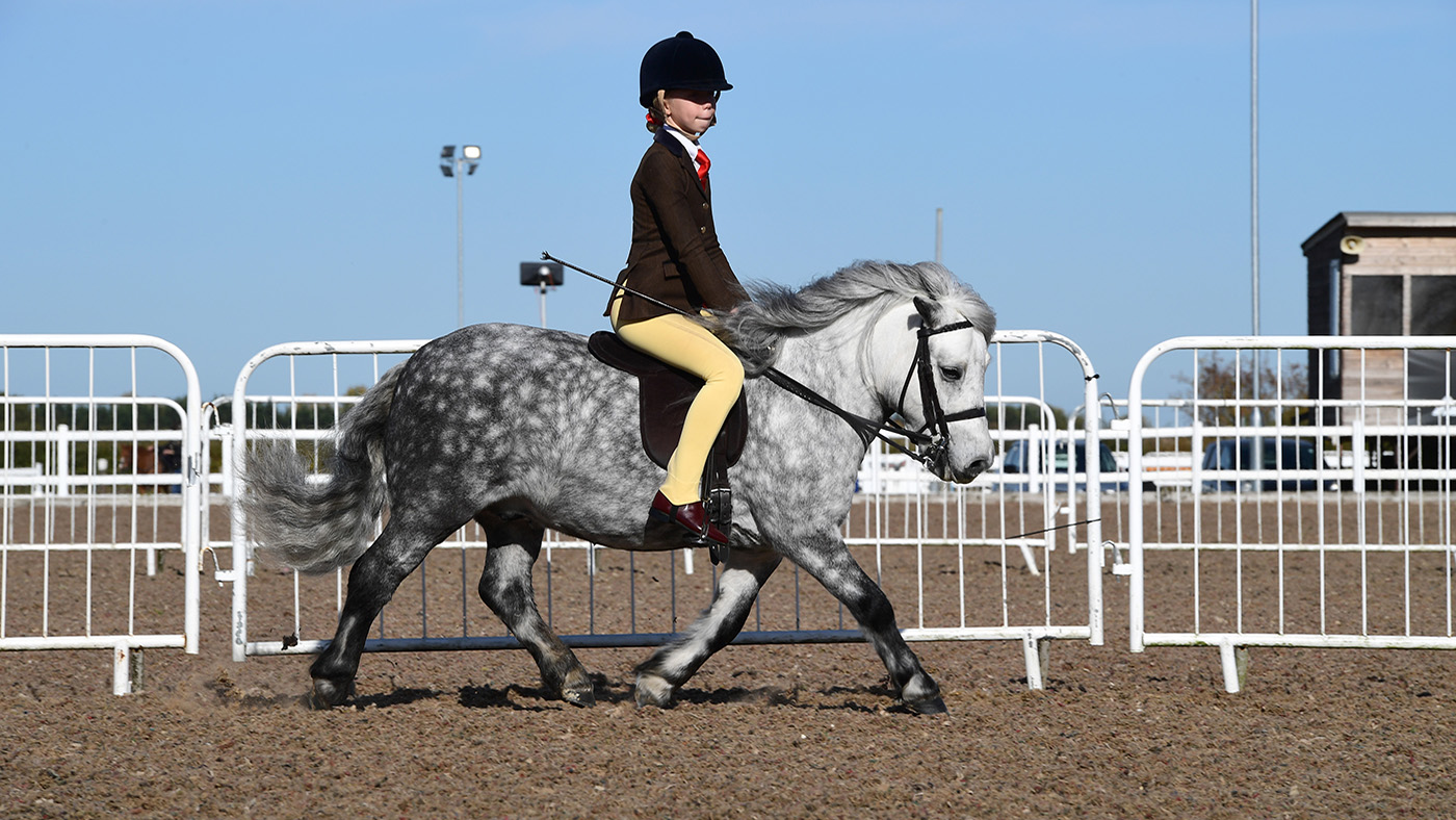 Heritage Show 16.10.2266638