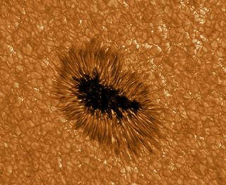 GREGOR sunspot magnetic storm image