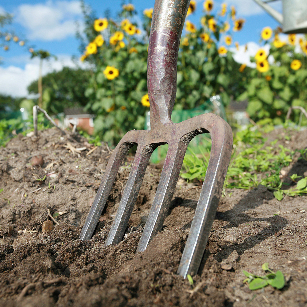 Allotment ideas for beginners – tips for grow your own newbies | Ideal Home