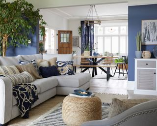 A coastal global living room corner with real tree and blue and white nautical themed decor